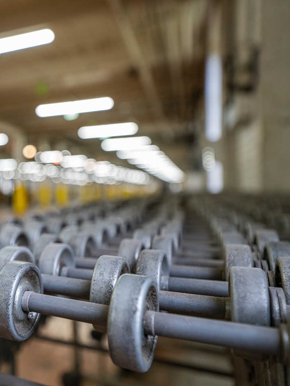 Industrial conveyor rollers at Lynx3PL.